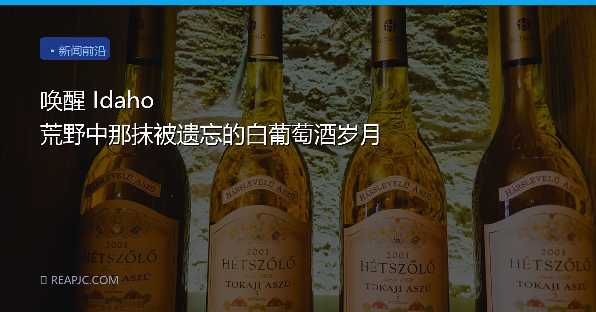 唤醒 Idaho 荒野中那抹被遗忘的白葡萄酒岁月